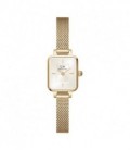 RELOJ DW QUADRO MINI EVERGOLD CHAMPAGNE DW00100656