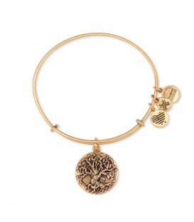 Alex and Ani pulseras